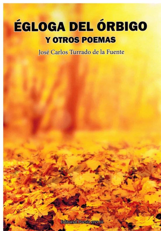 libros de poesía - 12 - Los 12 mejores libros de poesía del año 2.022