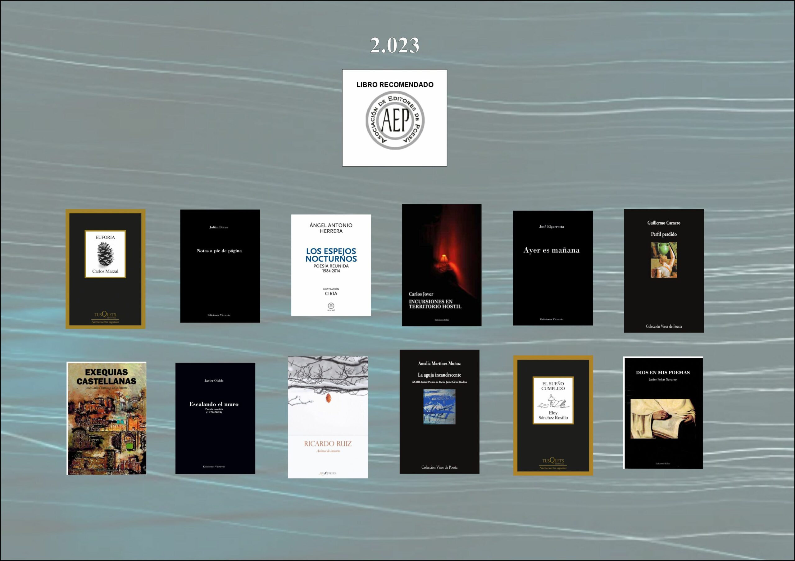 los 12 mejores libros de poesía del año 2.023 - LibroRecomendado2023 1 scaled - Los 12 mejores libros de poesía del año 2.023