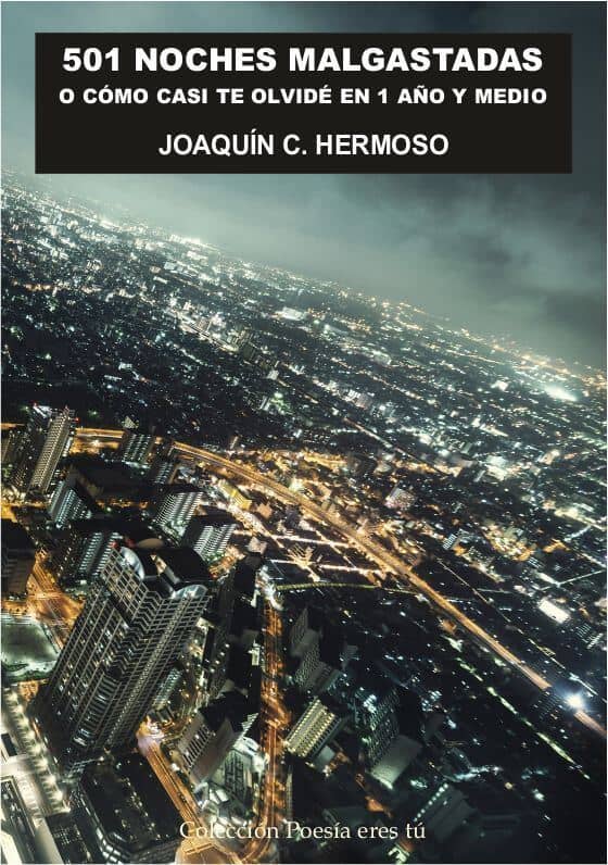 501 NOCHES MALGASTADAS O CÓMO CASI TE OLVIDÉ EN 1 AÑO Y MEDIO. JOAQUÍN C. HERMOSO joaquÍn c. hermoso - Portada 501nochesmalgastadas - 501 NOCHES MALGASTADAS O CÓMO CASI TE OLVIDÉ EN 1 AÑO Y MEDIO. JOAQUÍN C. HERMOSO