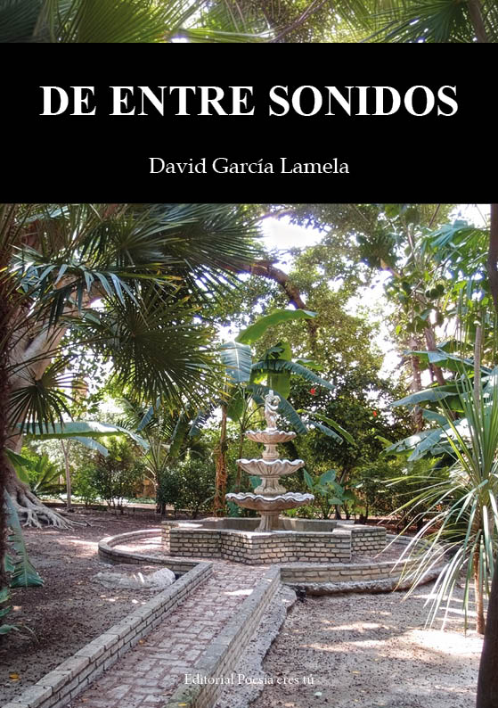 DE ENTRE SONIDOS, de David García Lamela - Portada